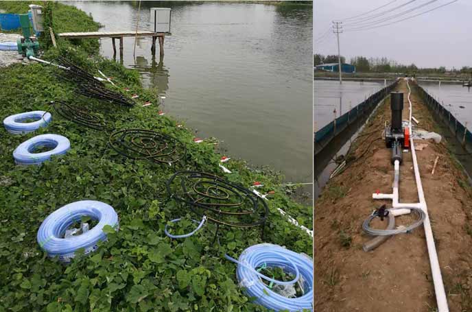 水產養殖羅茨風機 水產養殖羅茨風機